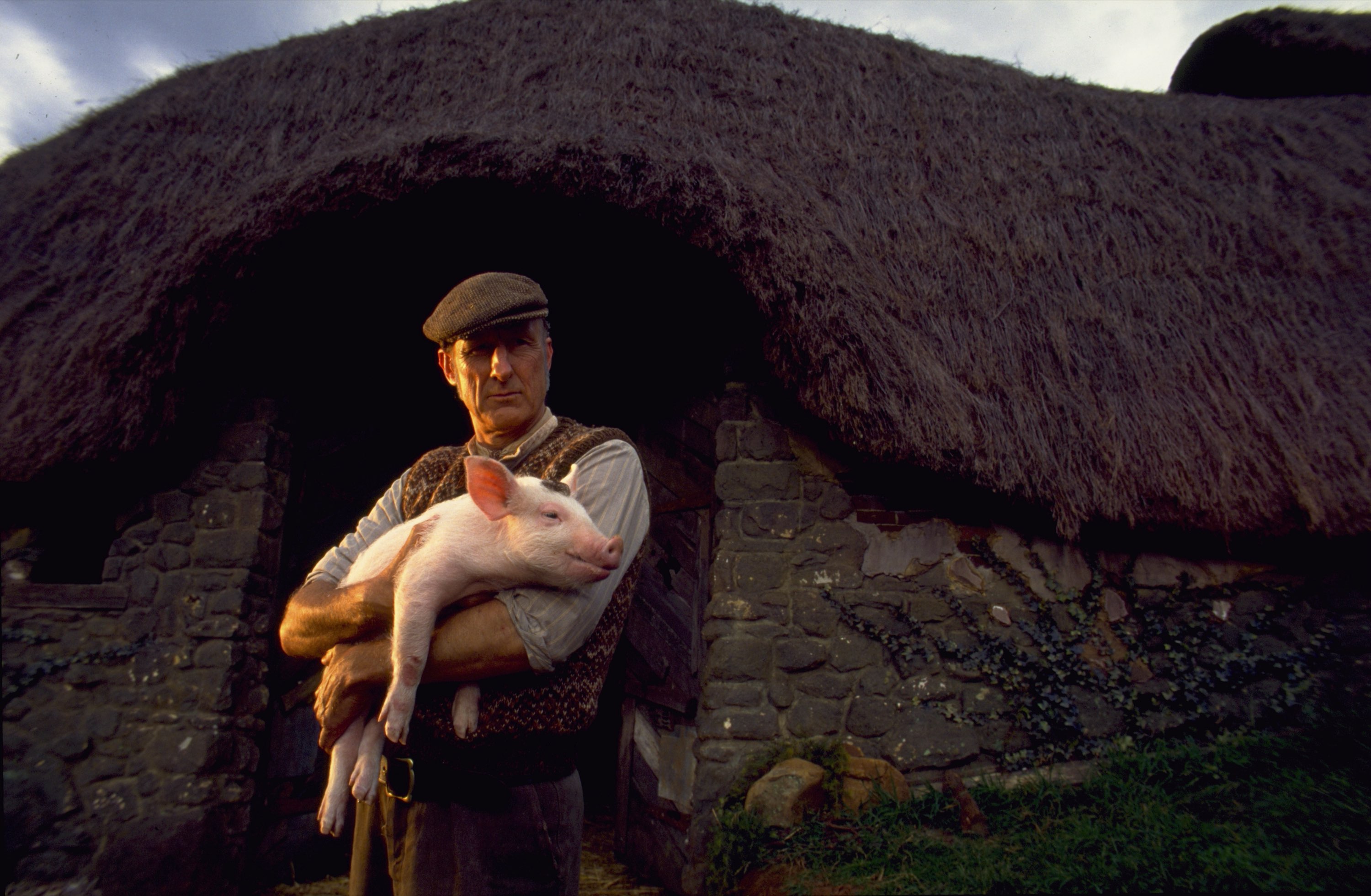 Babe Film Park Circus