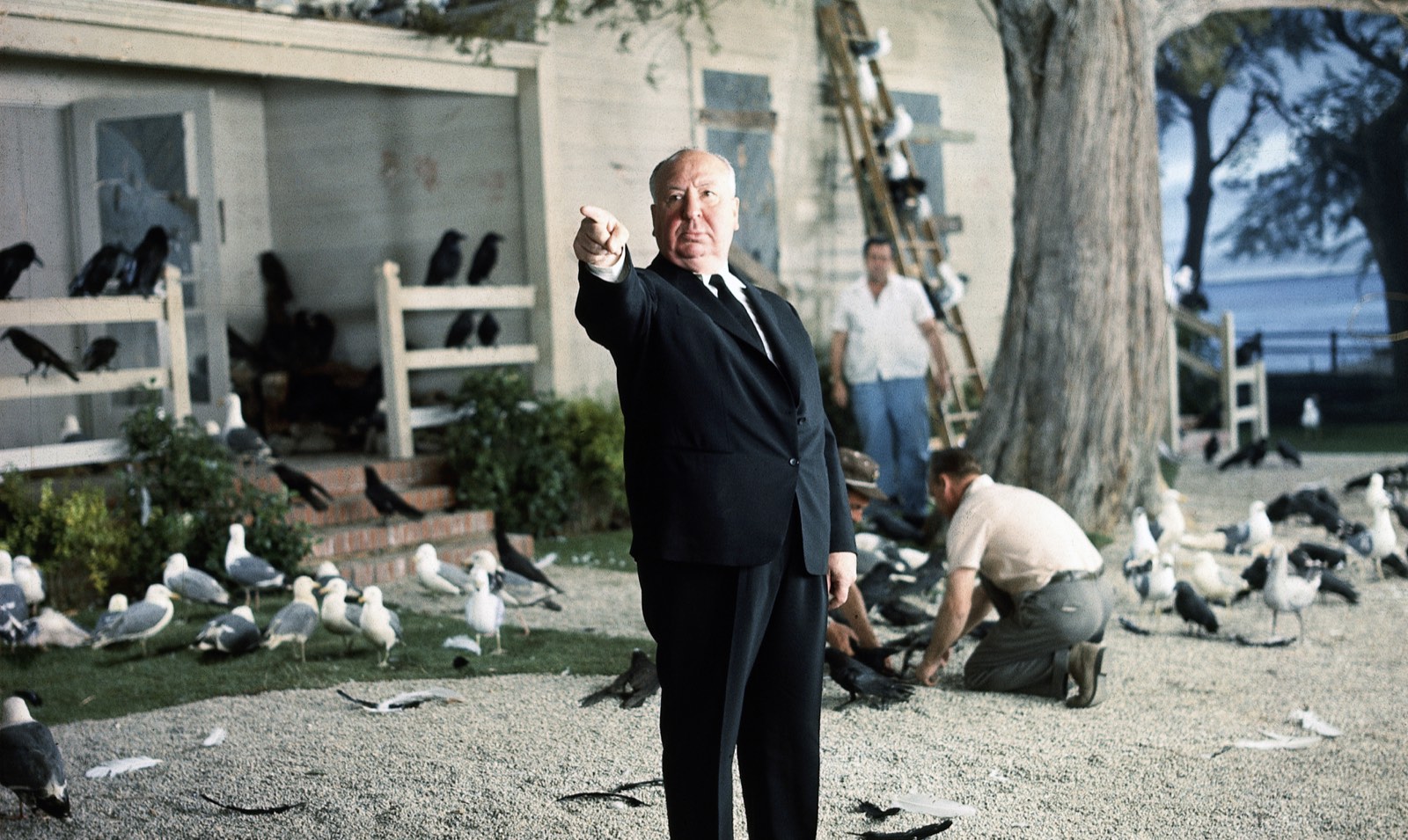 Alfred Hitchcock Collection