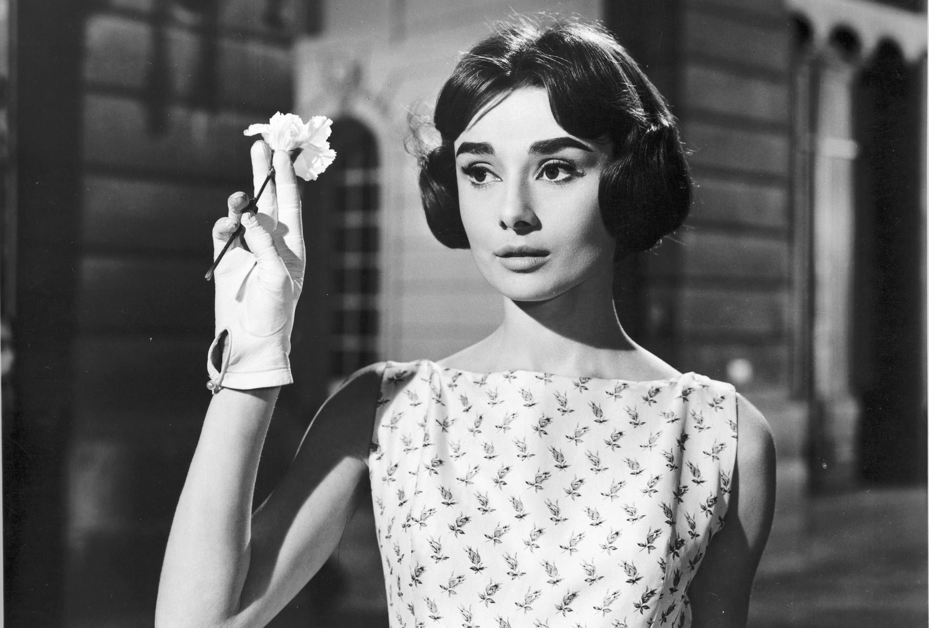 Audrey Hepburn: Cream – Ella's World