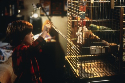 Home Alone 3