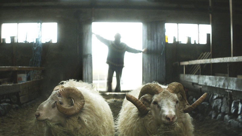 Rams - Film | Park Circus